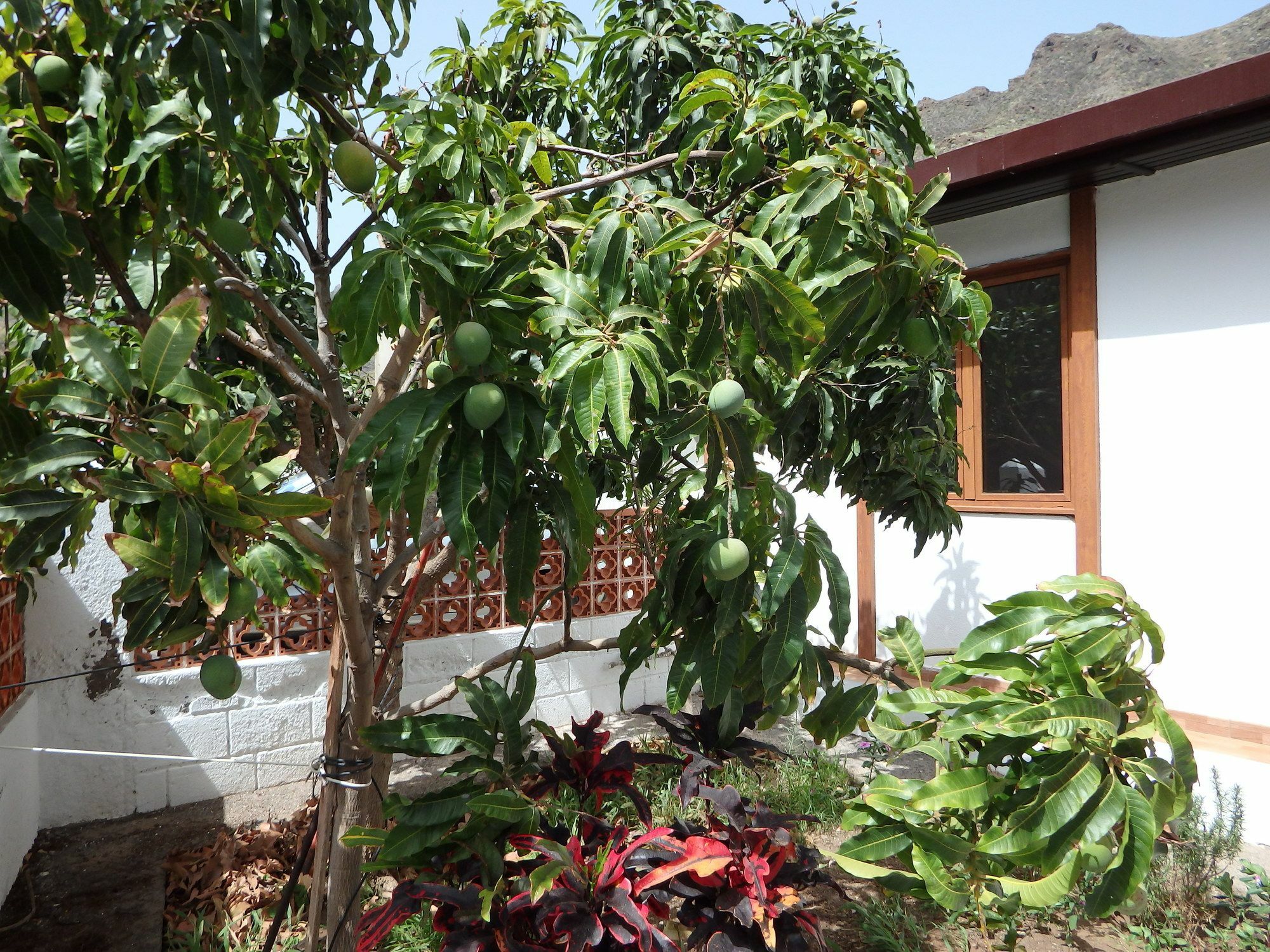Casa Vera Santa Cruz de Tenerife Exterior photo